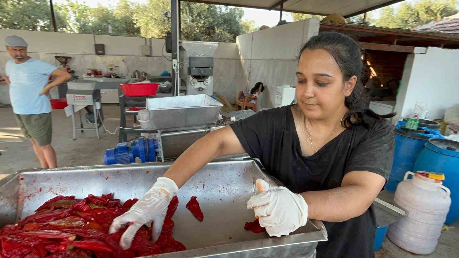 Üniversite mezunu genç kadın, köyünde üretim merkezi kurdu Muğla’nın Yatağan ilçesinde yaşayan