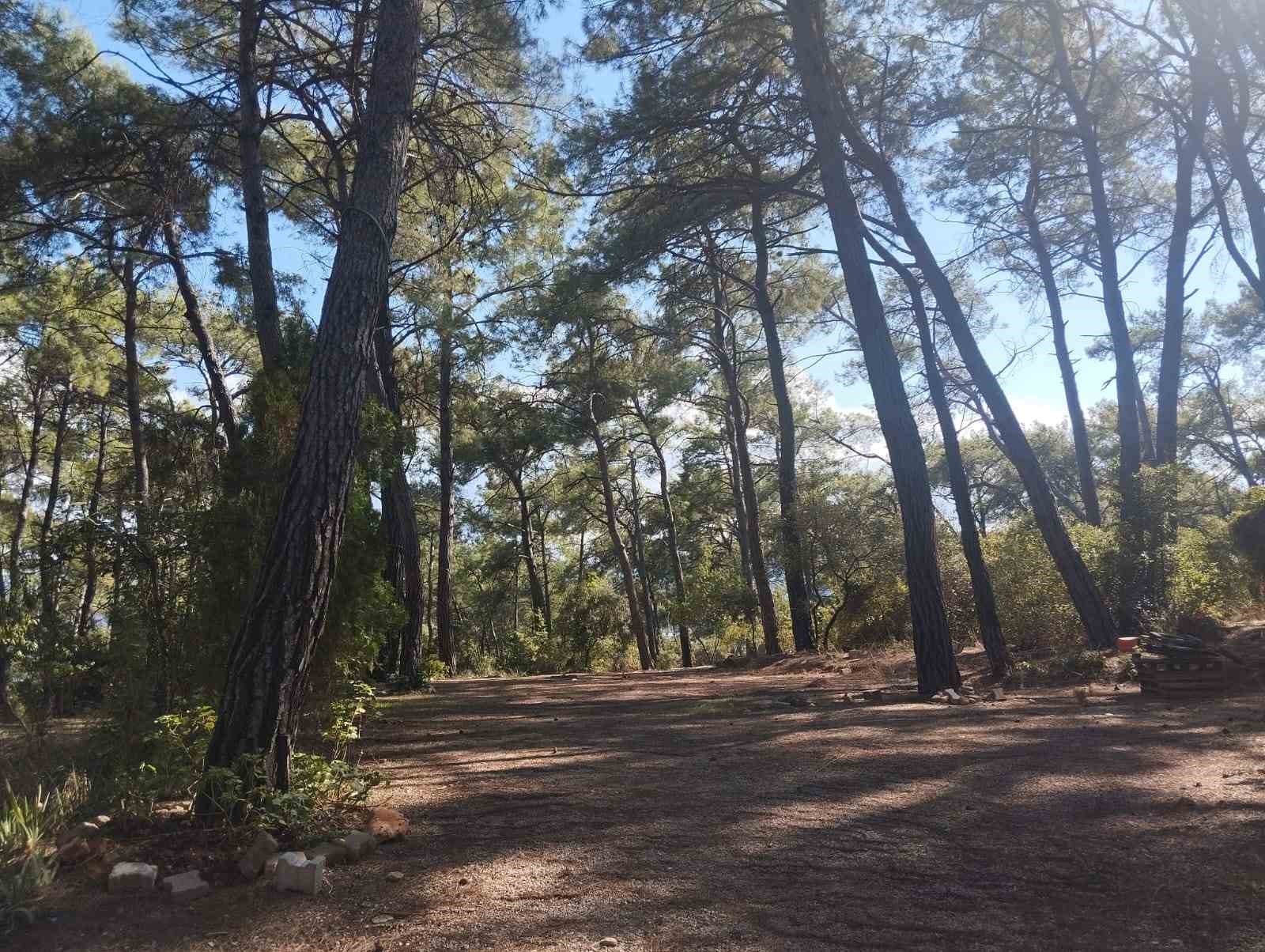 Akyaka Gökova Konaklamalı Orman Parkı, yaz sezonunun sona ermesinin ardından