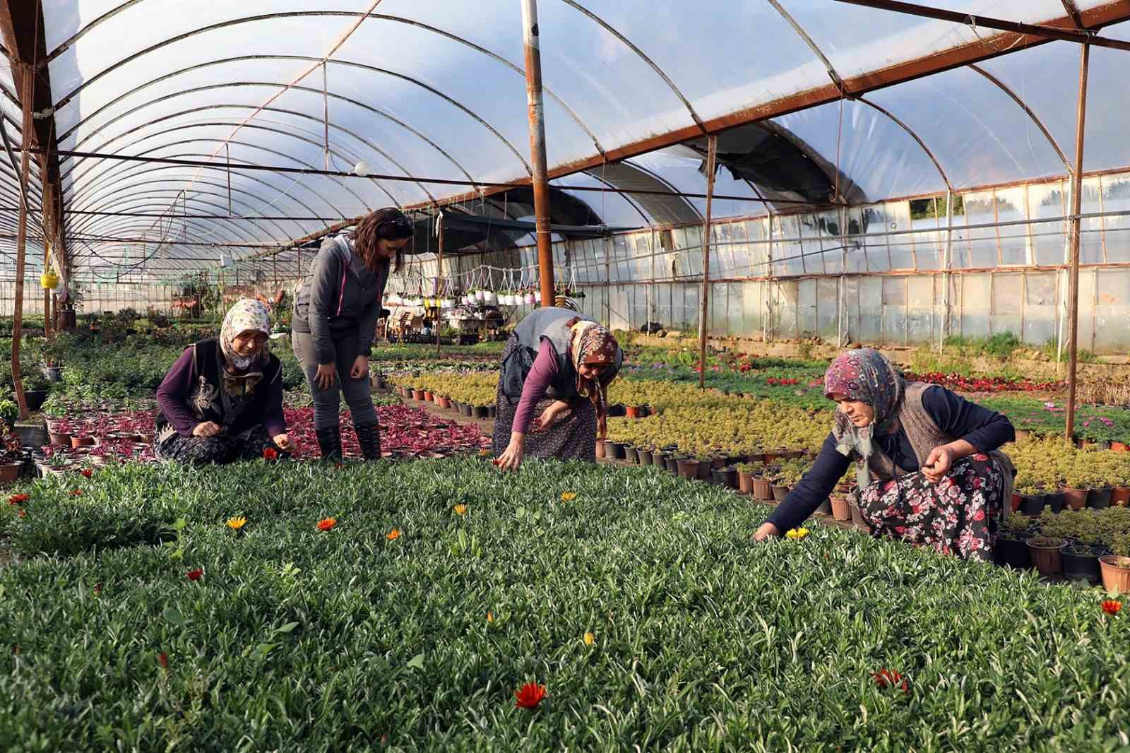 Kadın emeğiyle yerel kalkınma güçlendiriliyor Muğla Büyükşehir Belediyesi, kırsalda üretimi sürdüren kadınların ve üretici kooperatiflerin