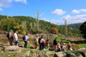 MUĞLA,(DHA)-MUĞLA'nın Bodrum Belediyesi, Milas Belediyesi ve Milas Müzesi iş birliği