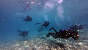 Muğla Büyükşehir Belediyesi, kurduğu Su Altı Arama Kurtarma Ekibi ile