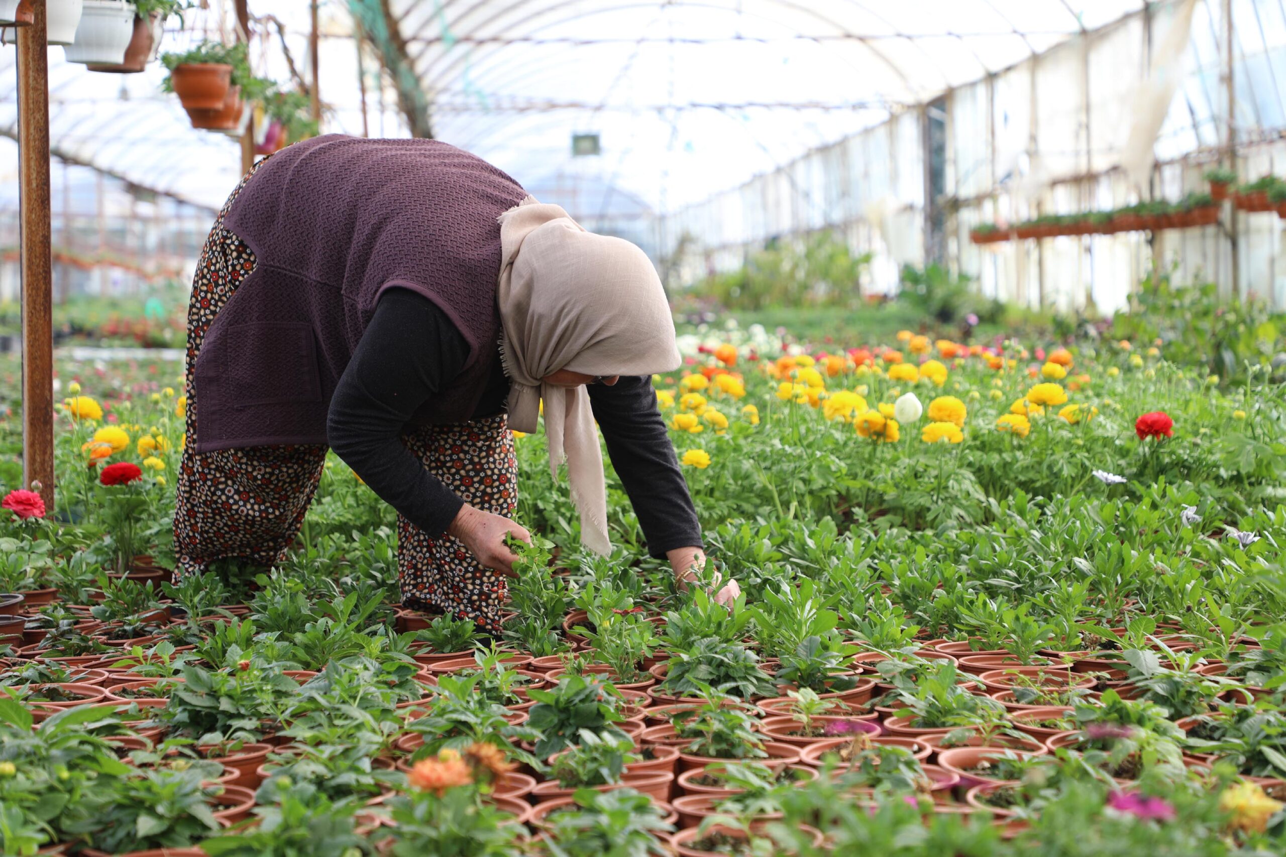 MUĞLA, (DHA)-MUĞLA'da kent genelinde faaliyet gösteren ve Ticaret Bakanlığı ile