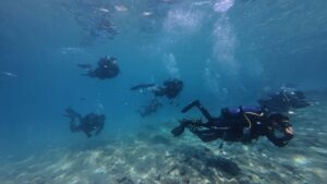 MUĞLA, (DHA)-MUĞLA Büyükşehir Belediyesi hem denizlerde hem de karasularda meydana