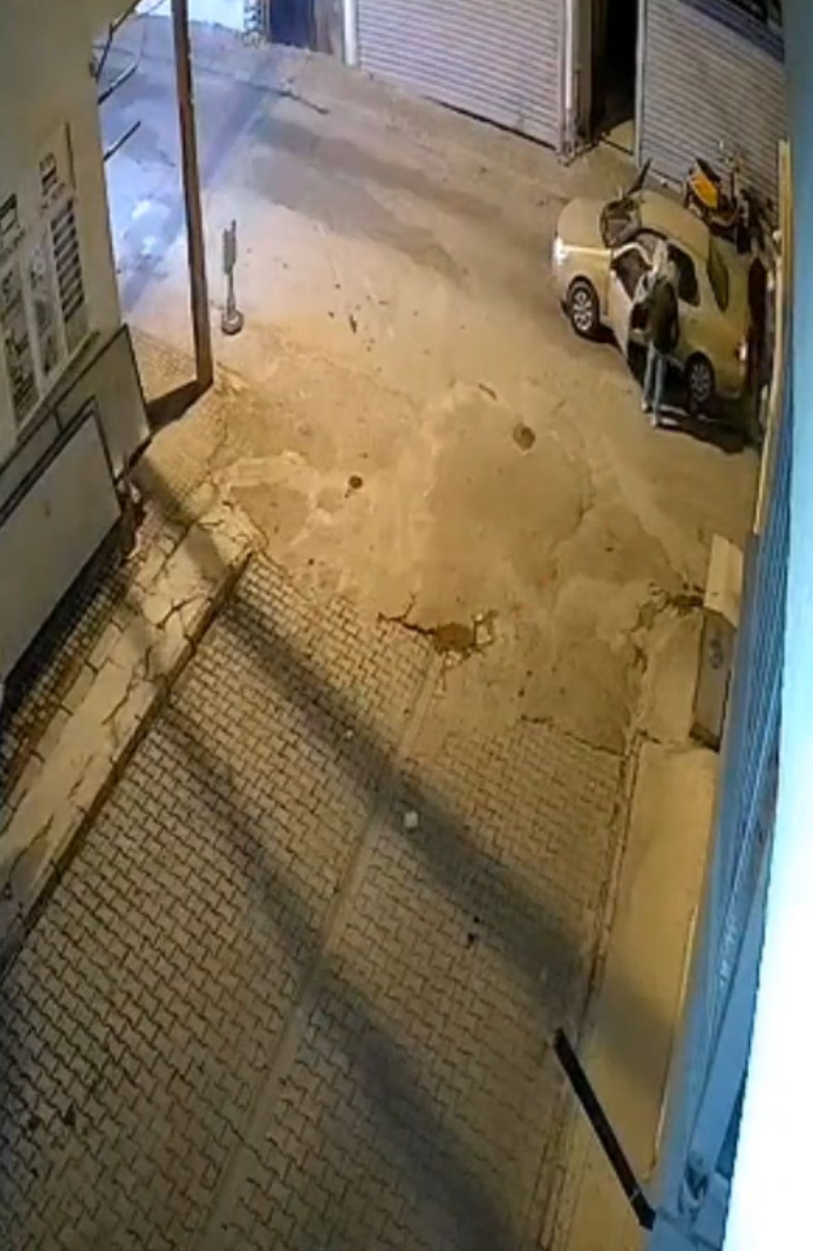 MUĞLA, (DHA)- MUĞLA’nın Milas ilçesinde, otomobilin altında sürüklenen oklu kirpi