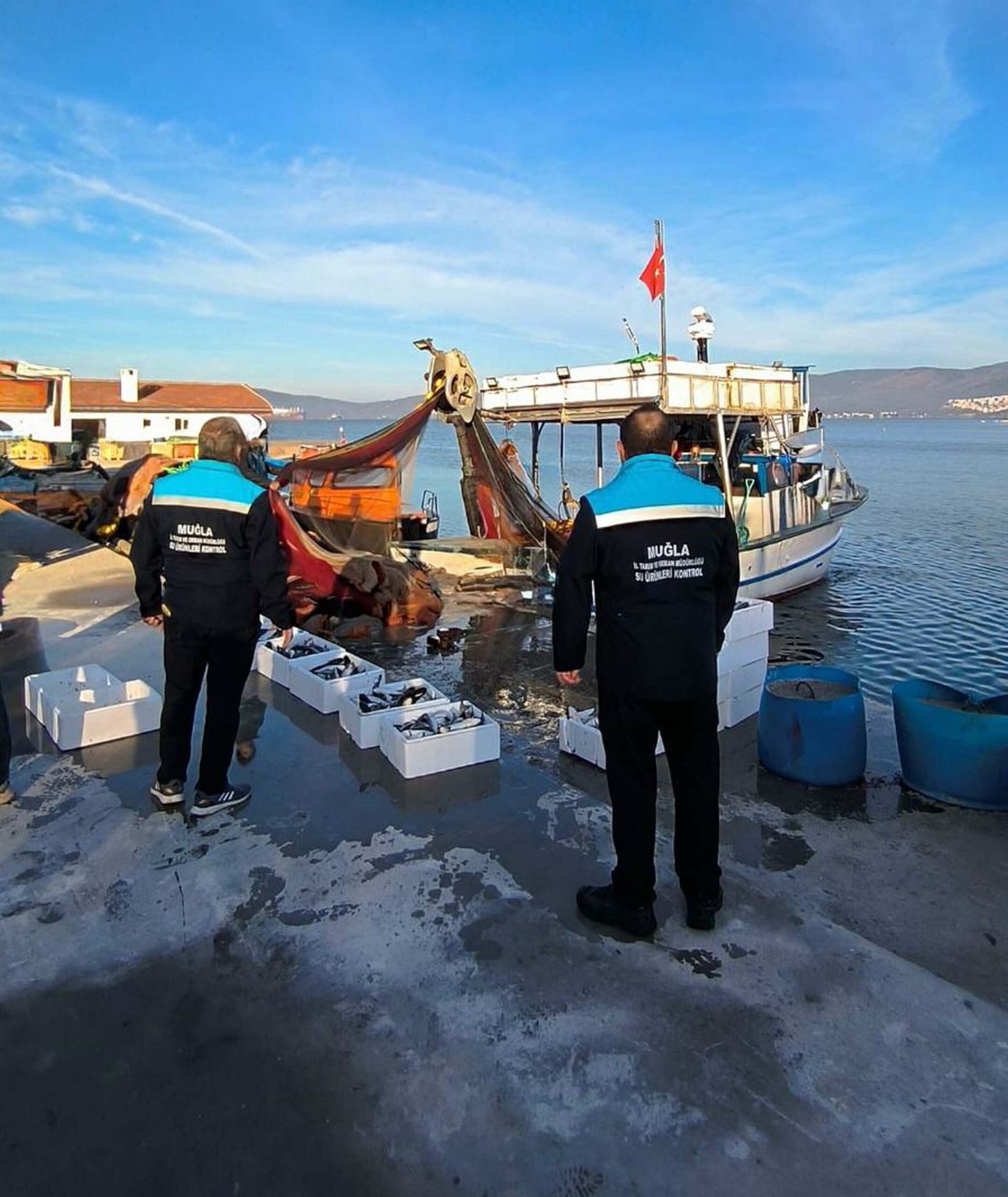 Fırat AKAY/BODRUM(Muğla),(DHA)-MUĞLA İl Tarım ve Orman Müdürlüğü ekiplerinin Güllük Körfezi’nde
