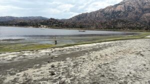 Fırat AKAY/BODRUM (Muğla), (DHA)- MUĞLA ve Aydın sınırındaki kuraklık ve