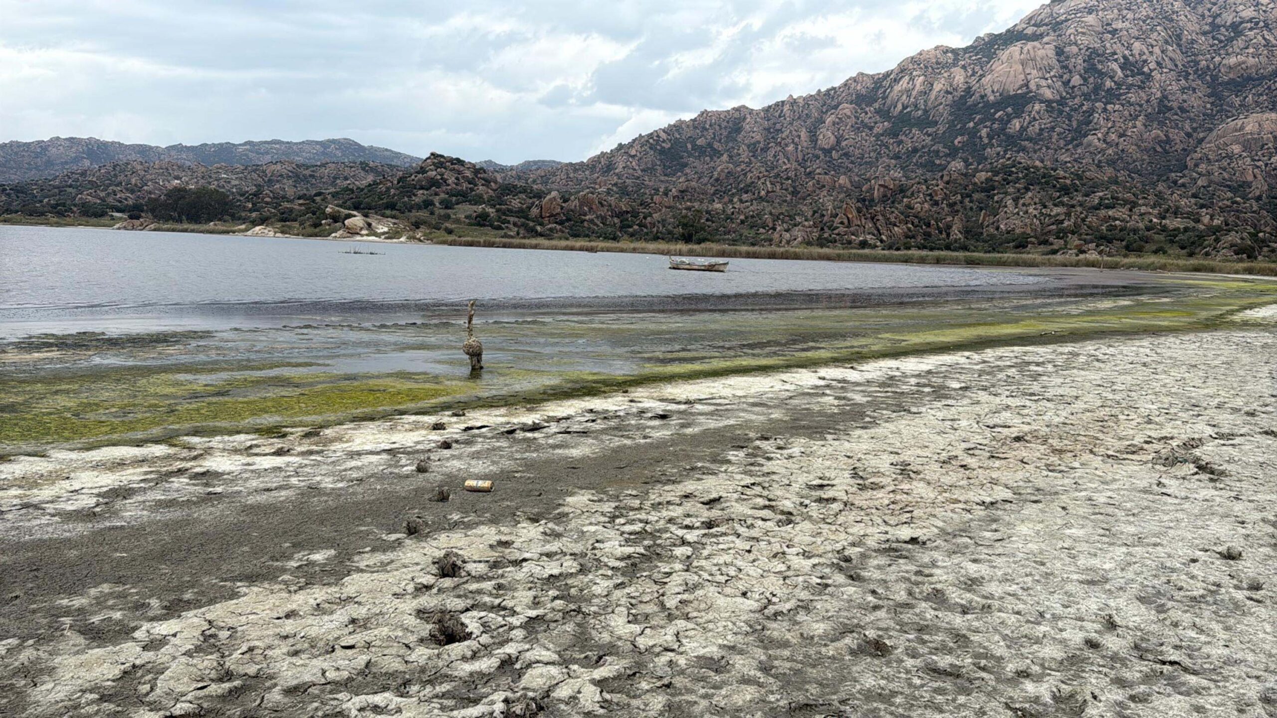 Suyu 50 metre çekilen Bafa Gölü’ne Büyük Menderes Nehri hayat verecek Fırat AKAY/BODRUM (Muğla), (DHA)- MUĞLA ve Aydın sınırındaki kuraklık ve
