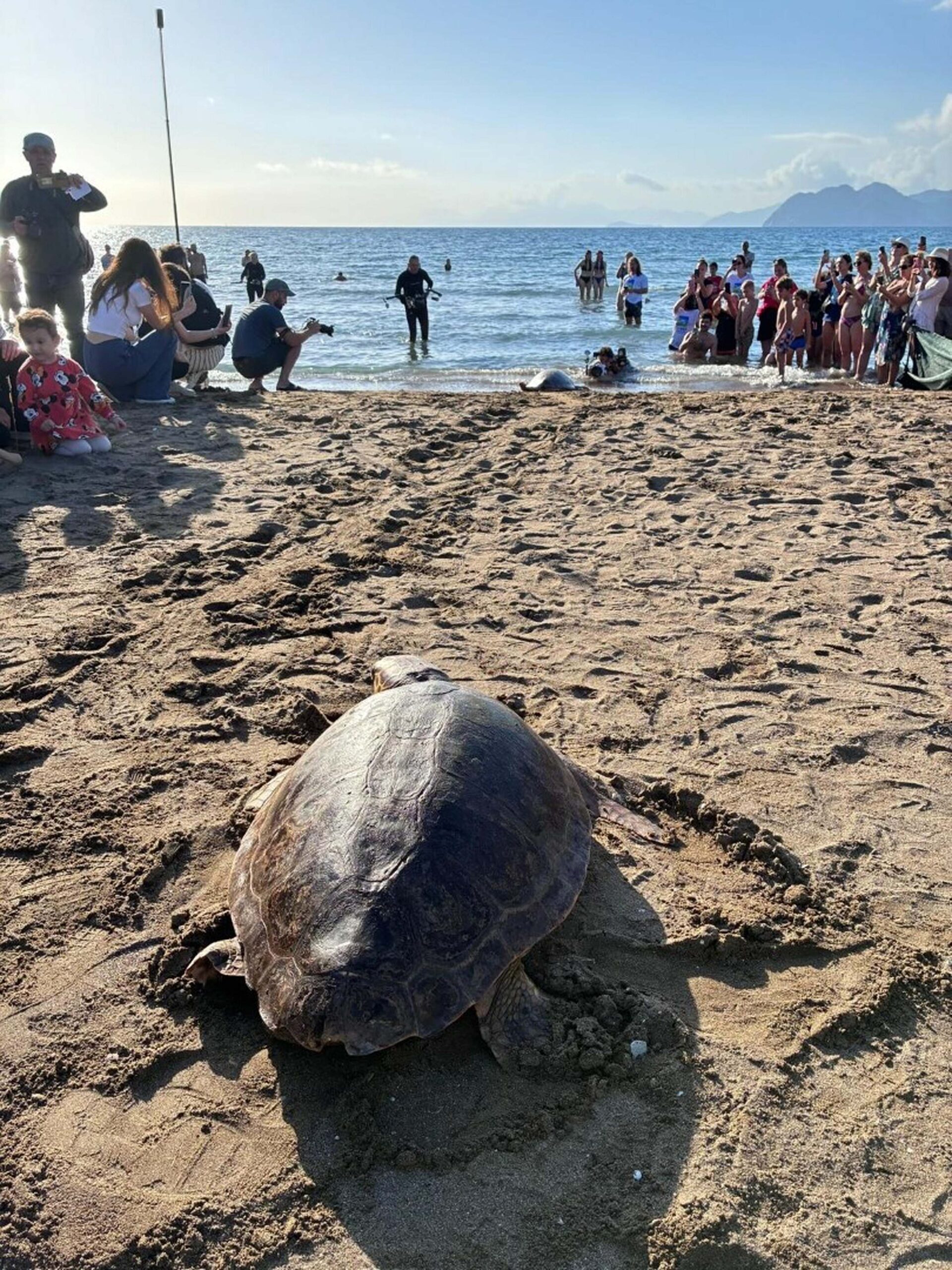 Tedavisi tamamlanan deniz kaplumbağaları denizle buluşturuldu Cavit AKGÜN/MUĞLA, (DHA)- MUĞLA'nın Ortaca ilçesinde dünyaca ünlü İztuzu Plajı'nda