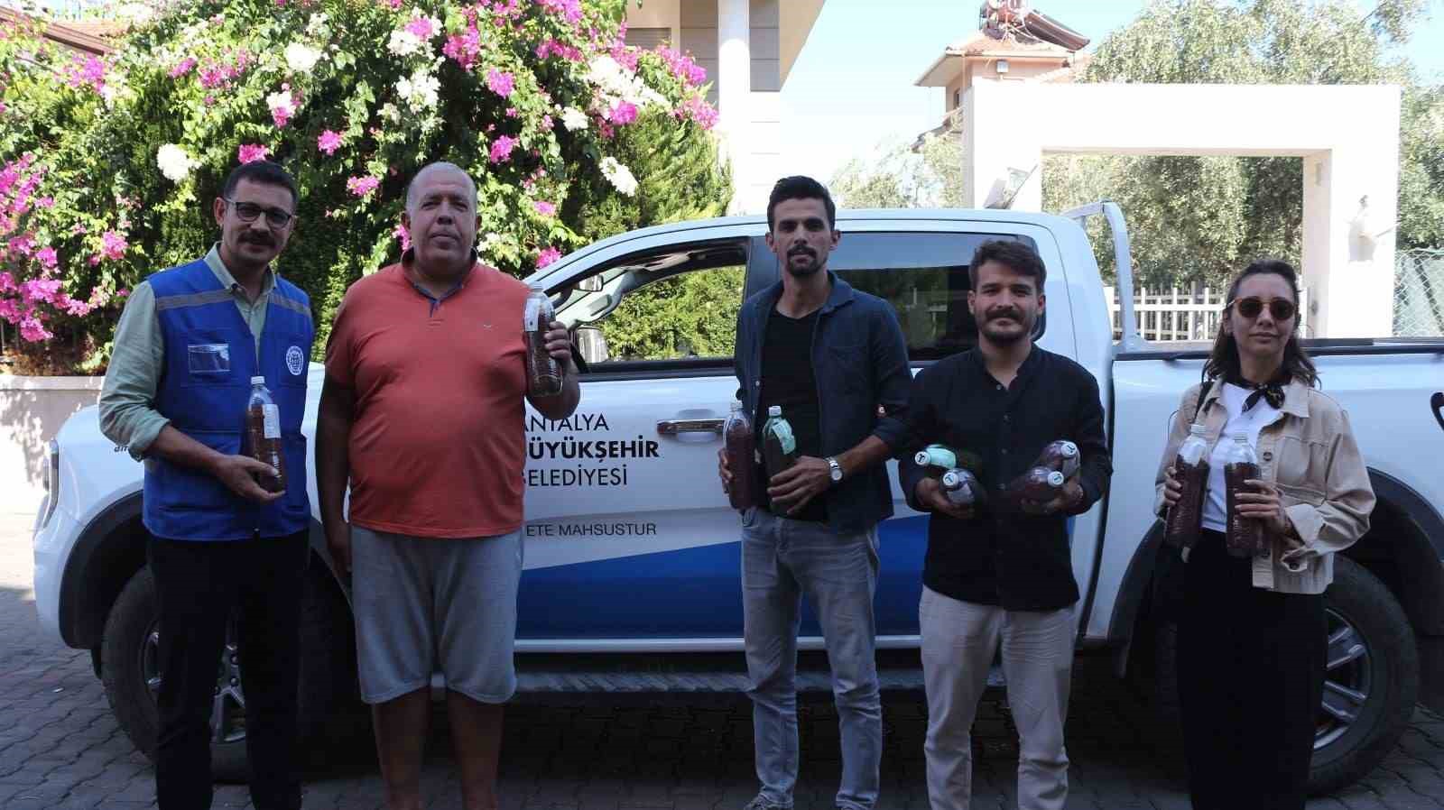 Marmaris Ağaçlandırma ve Doğa Koruma Derneği, yanan ormanların yeniden yeşertilmesi
