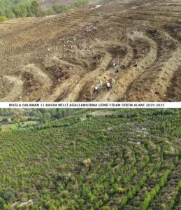 Cavit AKGÜN / MUĞLA, (DHA) - MUĞLA'nın Dalaman ilçesinde 6