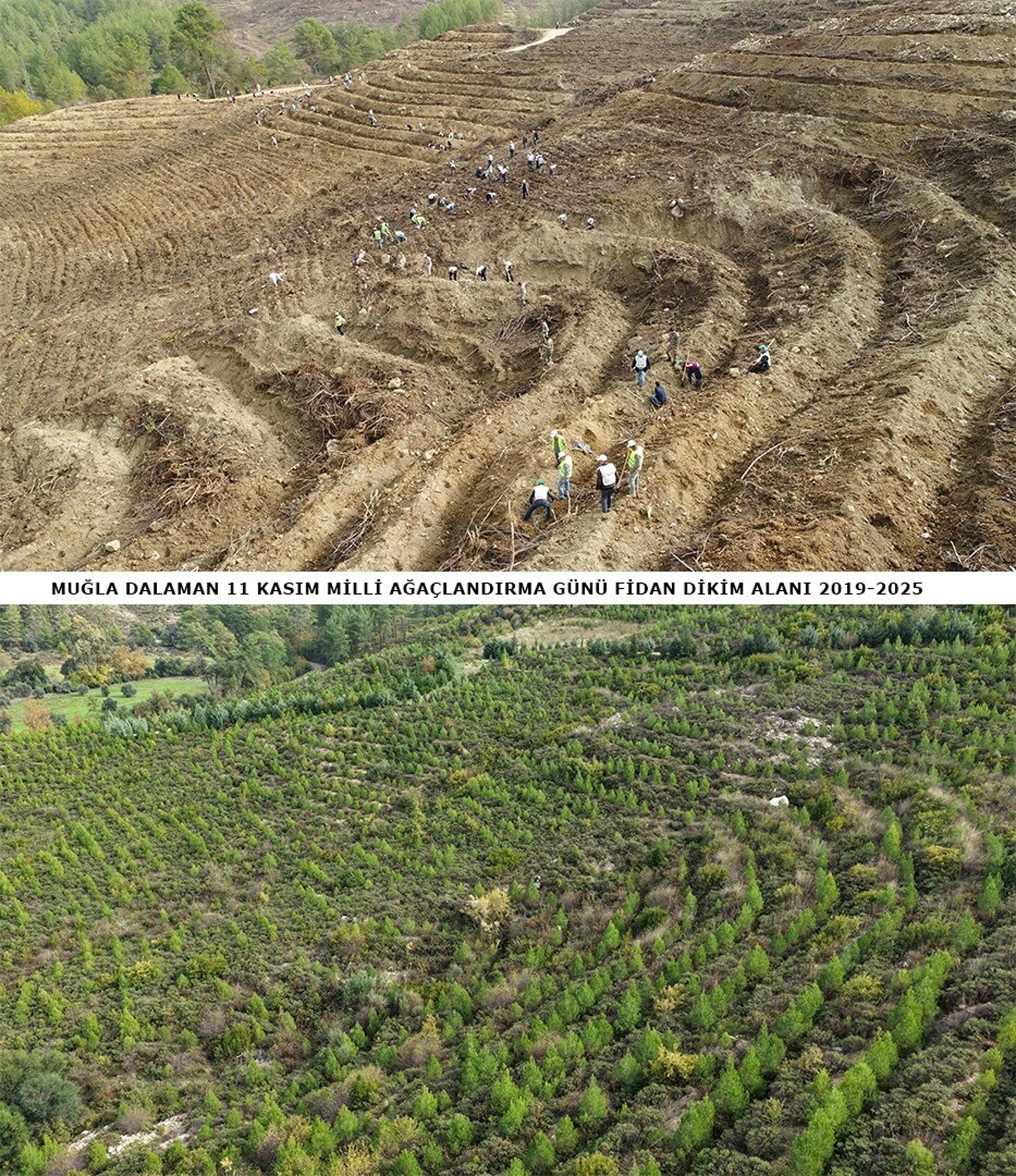 Cavit AKGÜN / MUĞLA, (DHA) - MUĞLA'nın Dalaman ilçesinde 6