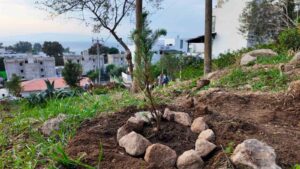 Bodrum Belediyesi, çocukları doğa ile buluşturmak amacıyla kentin farklı noktalarında