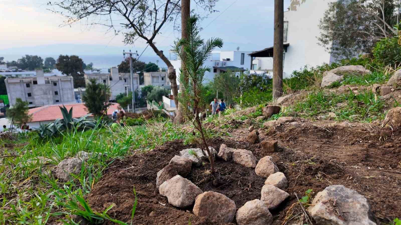 Bodrum Belediyesi, çocukları doğa ile buluşturmak amacıyla kentin farklı noktalarında