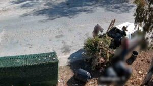 Bodrum Belediyesi, çevre kirliliğine neden olan kişi ve firmaları tespit