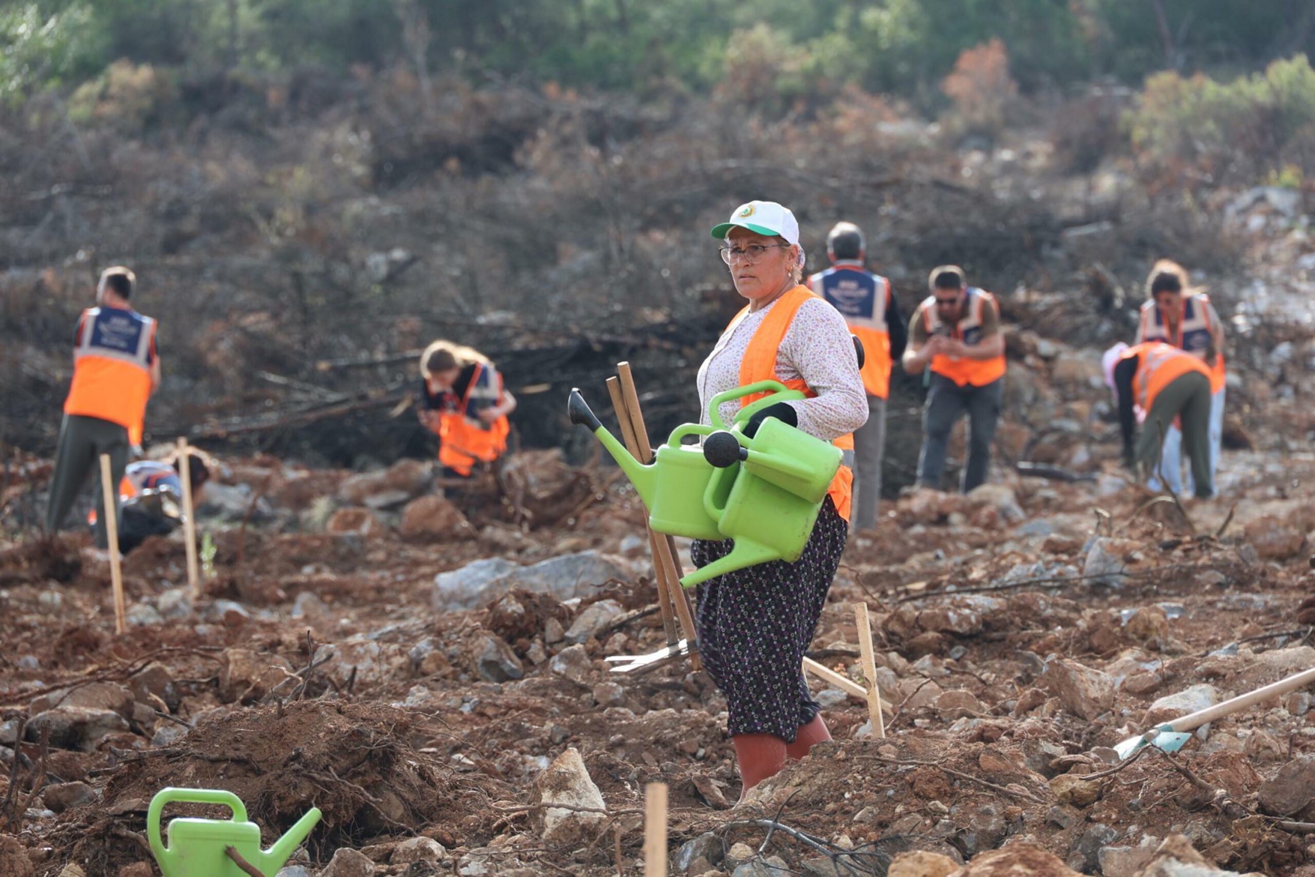 Fırat AKAY/BODRUM(Muğla),(DHA)-MUĞLA’nın Bodrum ilçesinde,11 Kasım Milli Ağaçlandırma Günü kapsamında orman