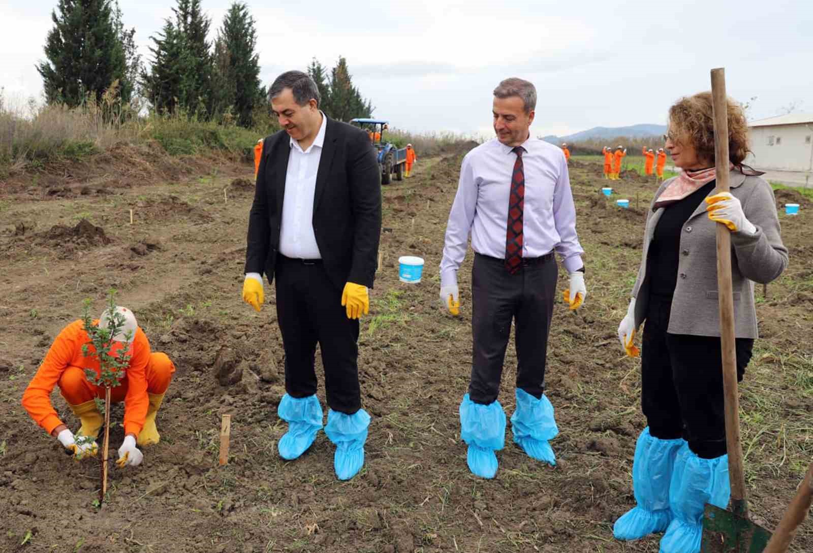 Tarım ve Orman Bakanlığı’nın ‘Tıbbi Aromatik Bitkiler Projesi’ kapsamında gelir