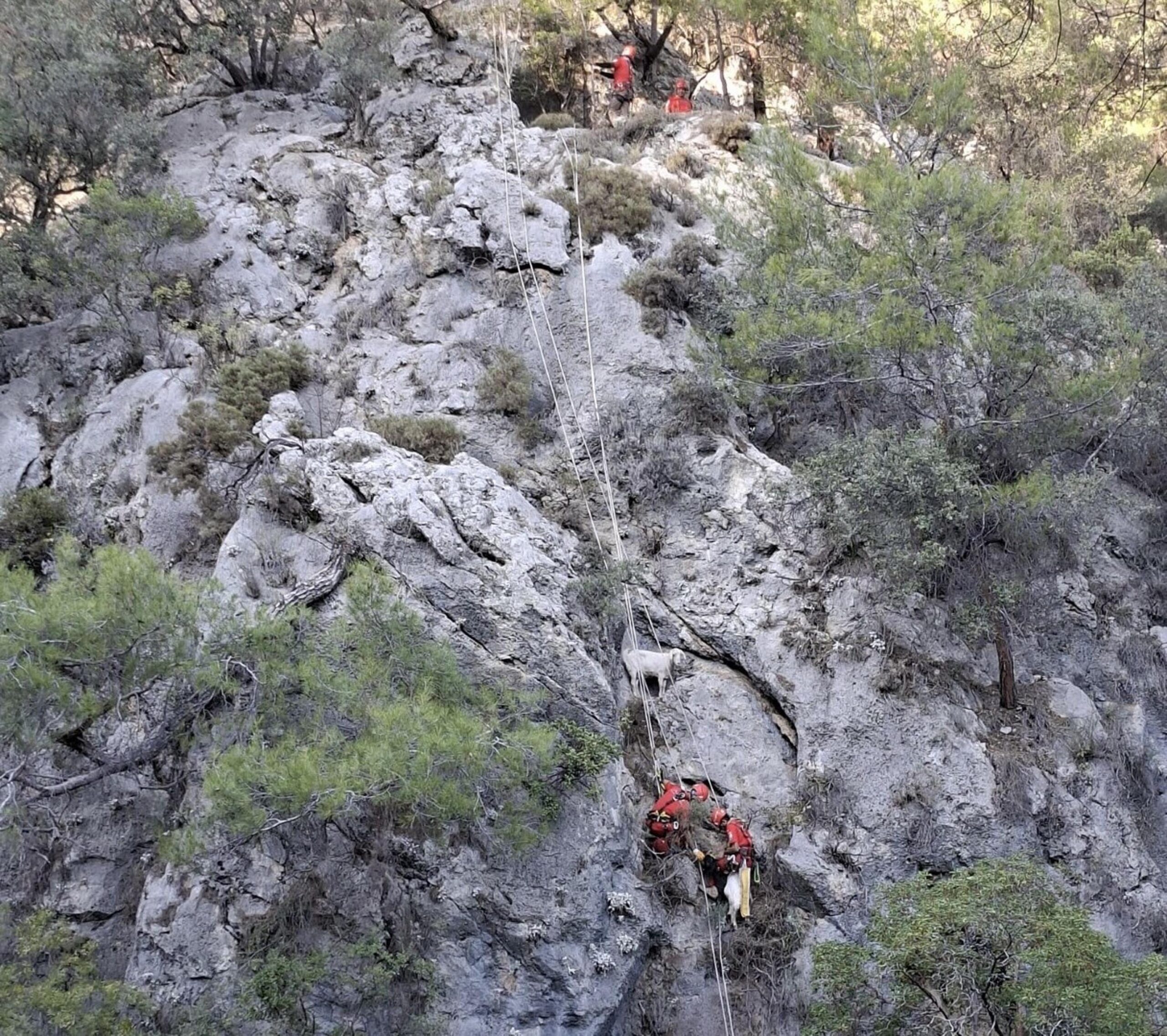 Gülgün AKYOKUŞ/FETHİYE (Muğla), (DHA)- MUĞLA'nın Fethiye ilçesinde, kayalıklarda mahsur kalan