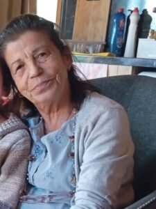 Fırat AKAY/ BODRUM(Muğla), (DHA)- MUĞLA'nın Bodrum ilçesinde, otomobilin çarptığı Hamiyet