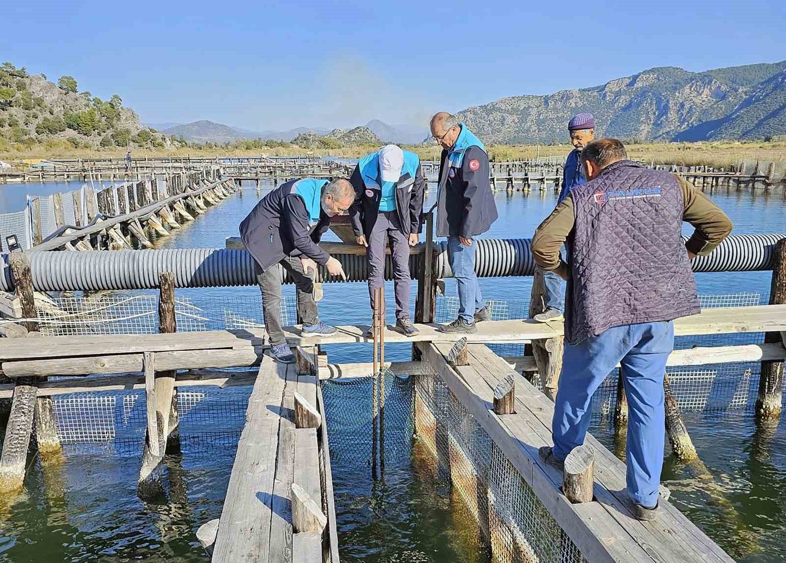 MUĞLA (İHA) Muğla Tarım ve Orman İl Müdürlüğü ekipleri tarafından
