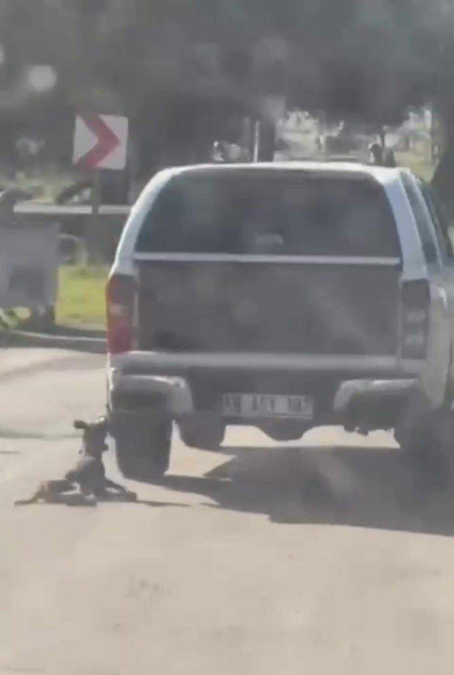 Fırat AKAY/BODRUM (Muğla), (DHA)-MUĞLA'nın Milas ilçesinde kamyonete bağlanarak sürüklenen bir