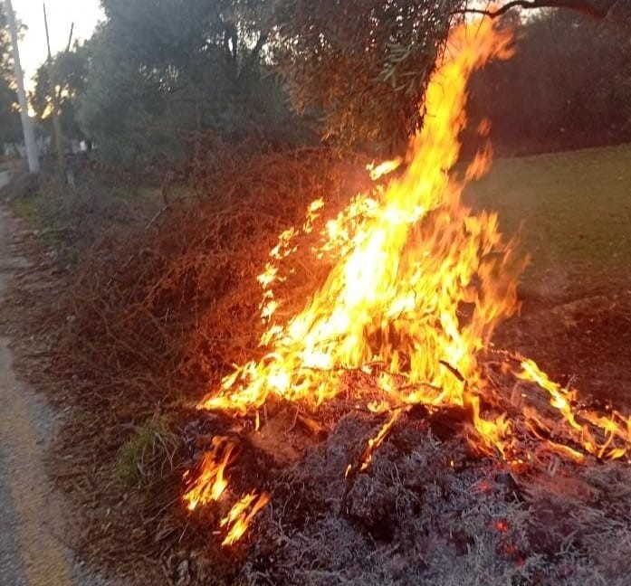 Muğla’nın Milas ilçesinde akşam saatlerinde iki ayrı noktada çıkan orman
