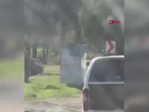 MUĞLA'nın Milas ilçesinde kamyonete bağlanarak sürüklenen bir köpek öldü. Olay