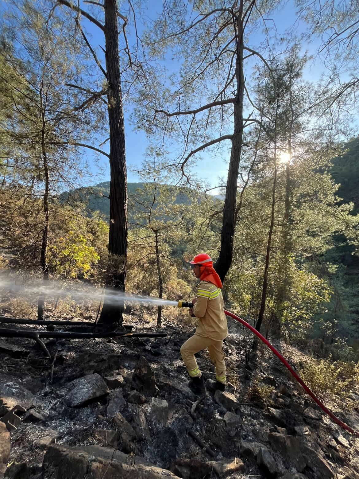 KONTROL ALTINA ALINDI Muğla Seydikemer’in Çaltozu Mahallesi Mendoz Dağı eteklerinde
