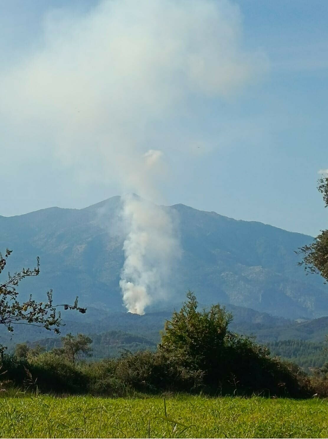 Gülgün AKYOKUŞ/FETHİYE (Muğla), DHA)- MUĞLA'nın Seydikemer ilçesinde orman yangını çıktı.