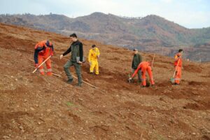 Fırat AKAY-Cavit AKGÜN/MUĞLA, (DHA)-MUĞLA Orman Bölge Müdürlüğü 11 Kasım Milli