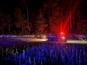 Muğla’nın Kavaklıdere ilçesinde çıkan orman yangını, ekiplerin hızlı müdahalesiyle büyümeden