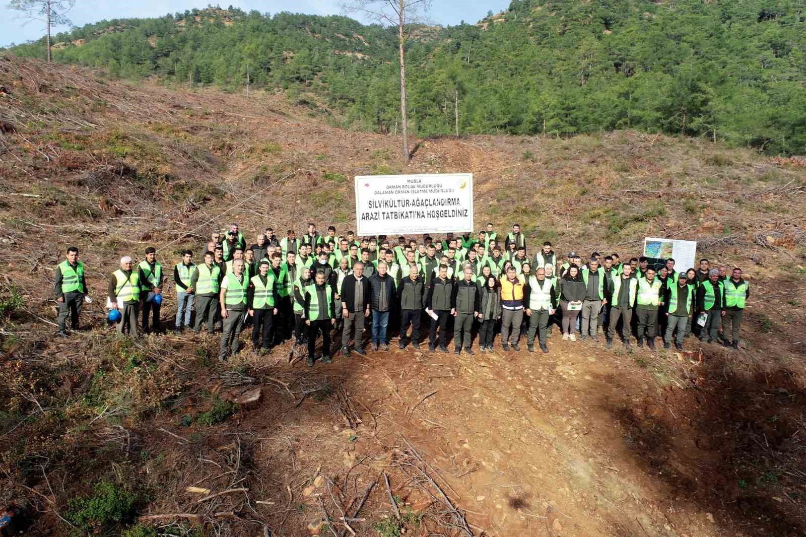 Muğla Orman Bölge Müdürlüğü, ormanların sürdürülebilirliği ve gençleştirilmesi çalışmaları kapsamında