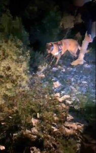 Muğla Emniyet Müdürlüğü Muğla Narkotik Suçlarla Mücadele Şube Müdürlüğü ekiplerince,