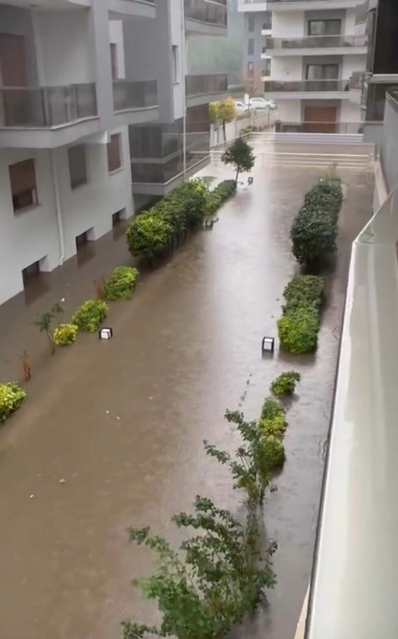 Cavit AKGÜN/MUĞLA, (DHA)- MUĞLA'nın Menteşe ilçesinde etkili olan sağanak nedeniyle