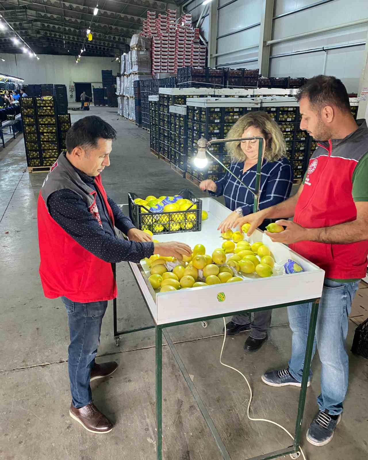 Ortaca’da Avrupa Birliği ülkeleri, Kuzey Kıbrıs Türk Cumhuriyeti ve Bosna