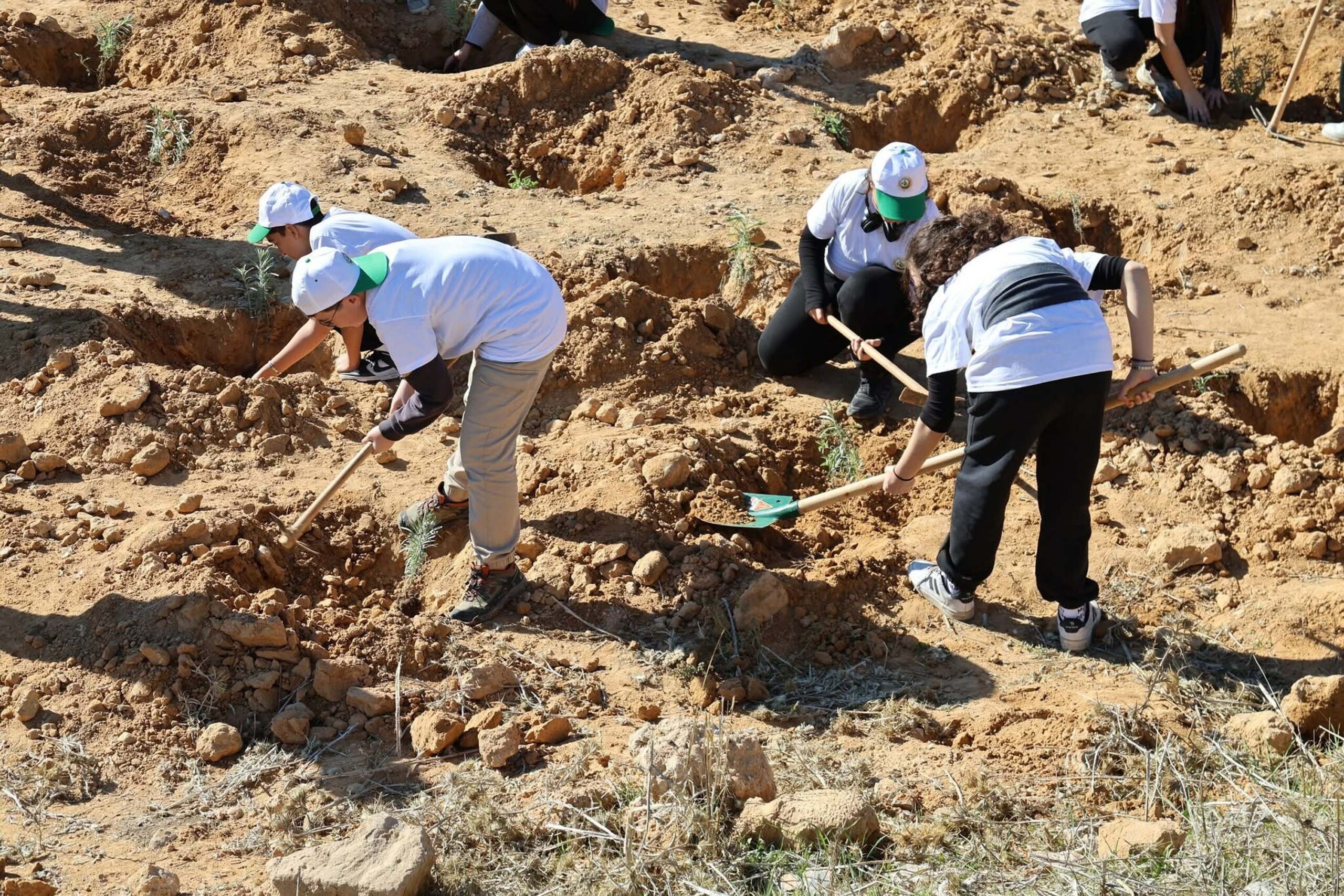 Cavit AKGÜN/MUĞLA, (DHA)-MUĞLA'da şehitler anısına fidan dikim etkinliği düzenlendi. Dikilen