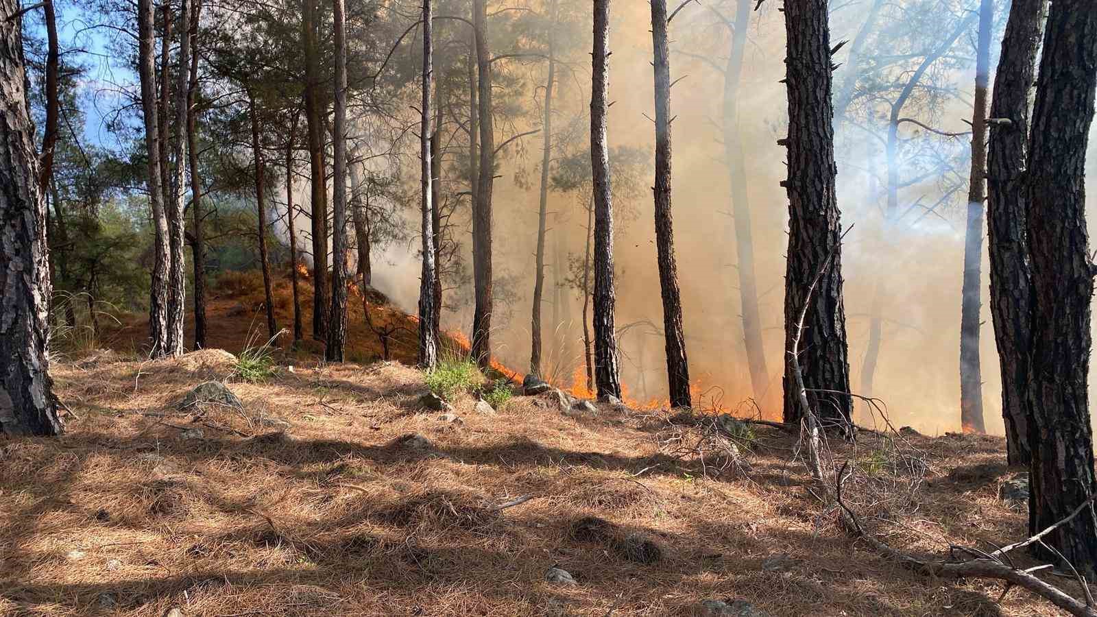 Muğla’nın Seydikemer ilçesinde orman yangını çıktı. Yangın, Çaltıözü Mahallesi’ndeki ormanlık