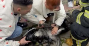 Gülgün AKYOKUŞ/FETHİYE (Muğla), DHA)-MUĞLA'nın Fethiye ilçesinde bir evde çıkan yangında