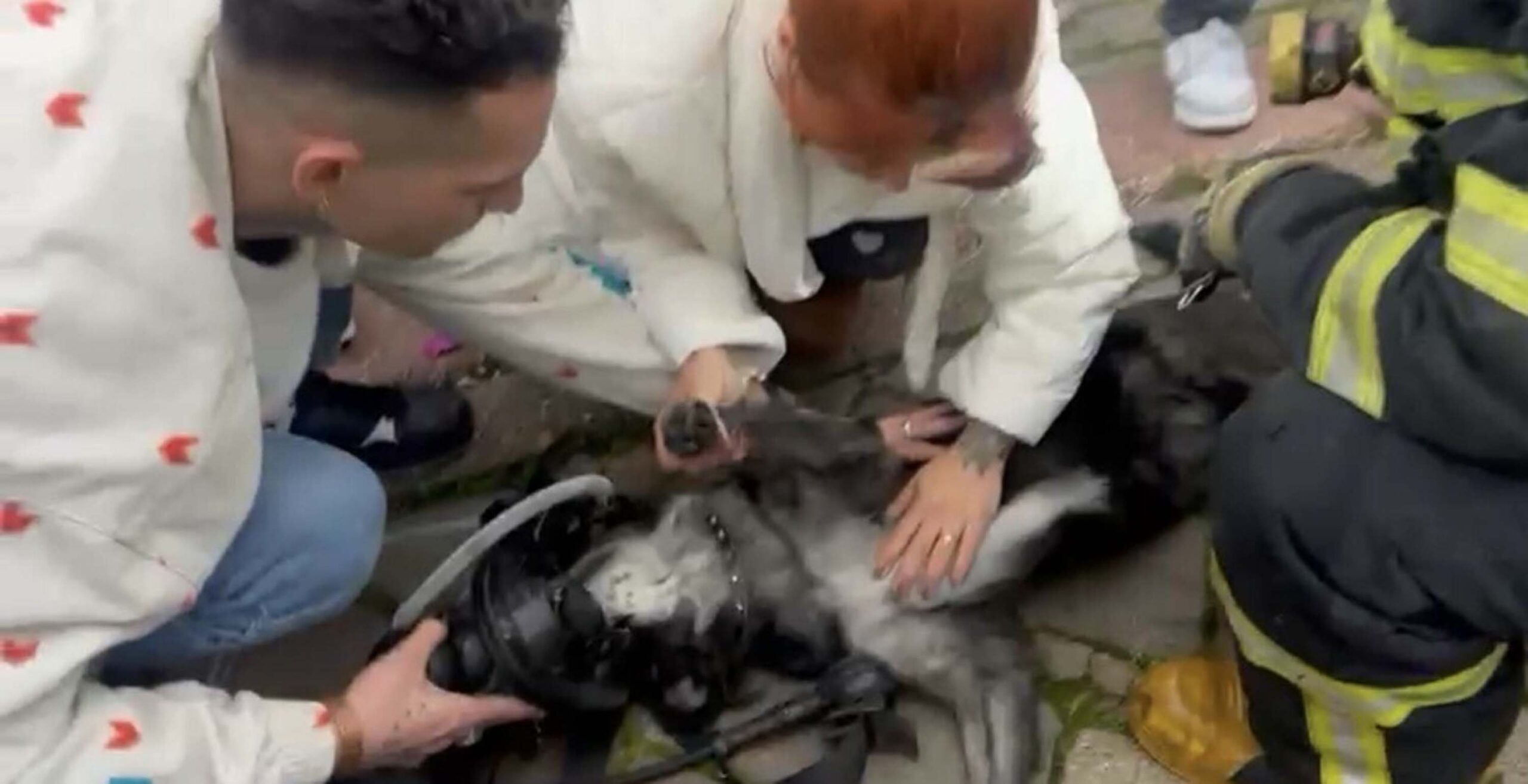 Gülgün AKYOKUŞ/FETHİYE (Muğla), DHA)-MUĞLA'nın Fethiye ilçesinde bir evde çıkan yangında