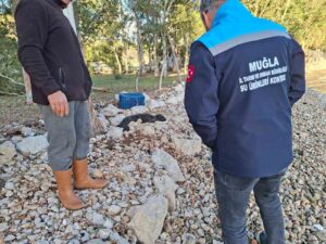 Muğla’nın Marmaris ilçesine bağlı Söğüt ve Taşlıca Mahalleleri arasında bulunan