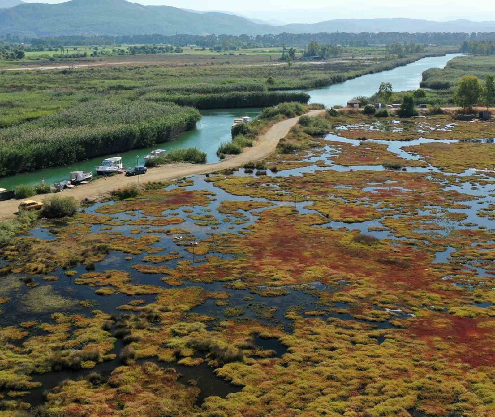 Muğla’nın Ula ilçesinde 6 hektar alandaki Gökçe Sulak Alanı, Akdeniz