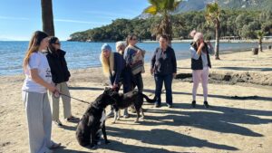 Cavit AKGÜN/MUĞLA, (DHA)- MUĞLA'NIN Ula ilçesinin 'Sakin Şehir' ünvanlı Akyaka