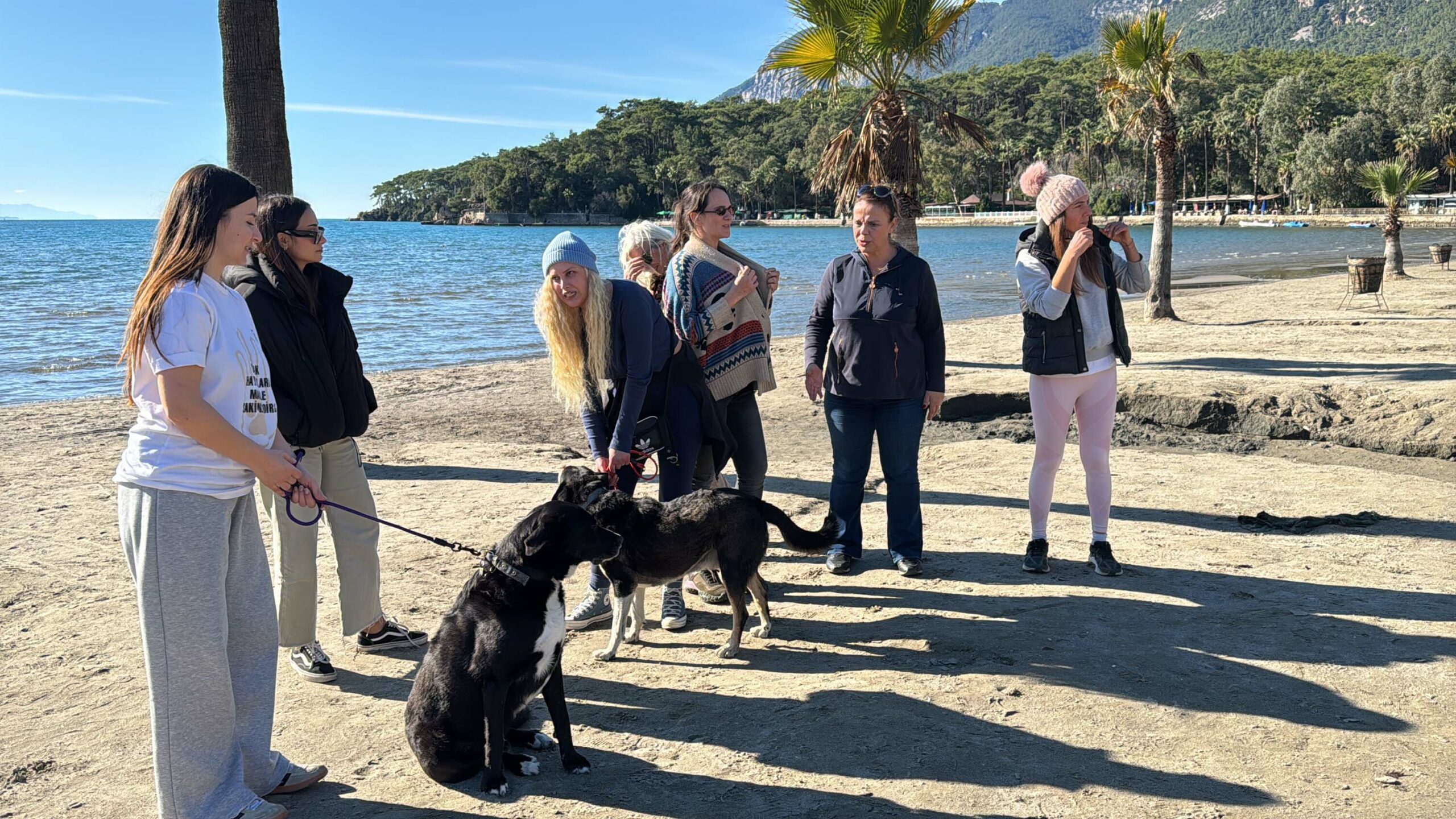 Cavit AKGÜN/MUĞLA, (DHA)- MUĞLA'NIN Ula ilçesinin 'Sakin Şehir' ünvanlı Akyaka