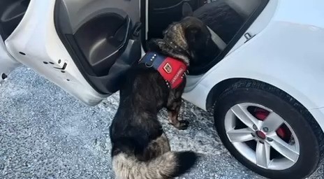 Muğla İl Jandarma Komutanlığı, 22-28 Aralık 2025 tarihleri arasında il