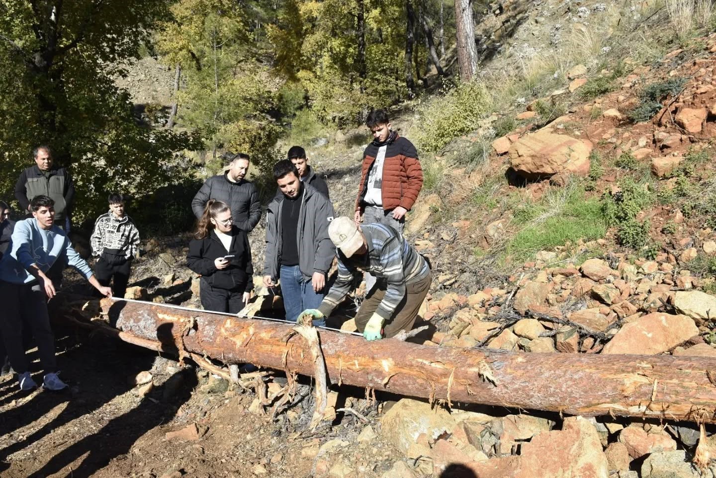 Muğla’nın Köyceğiz ilçesinde Meslek Yüksekokulu Ormancılık ve Orman Ürünleri Programı