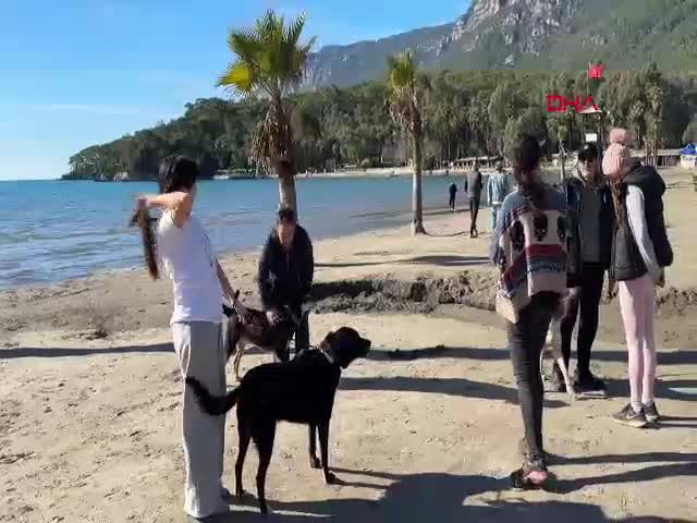 MUĞLA'NIN Ula ilçesinin 'Sakin Şehir' ünvanlı Akyaka Mahallesi'nde yaşayan hayvanseverler,