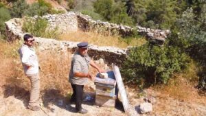 Muğla’da meydana gelen büyük yangınların ardından yaban hayatından korunmak için