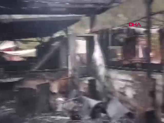 3 DEKAR ÇAM ORMANI İLE TOPLAM 60 ÇADIR VE KARAVAN