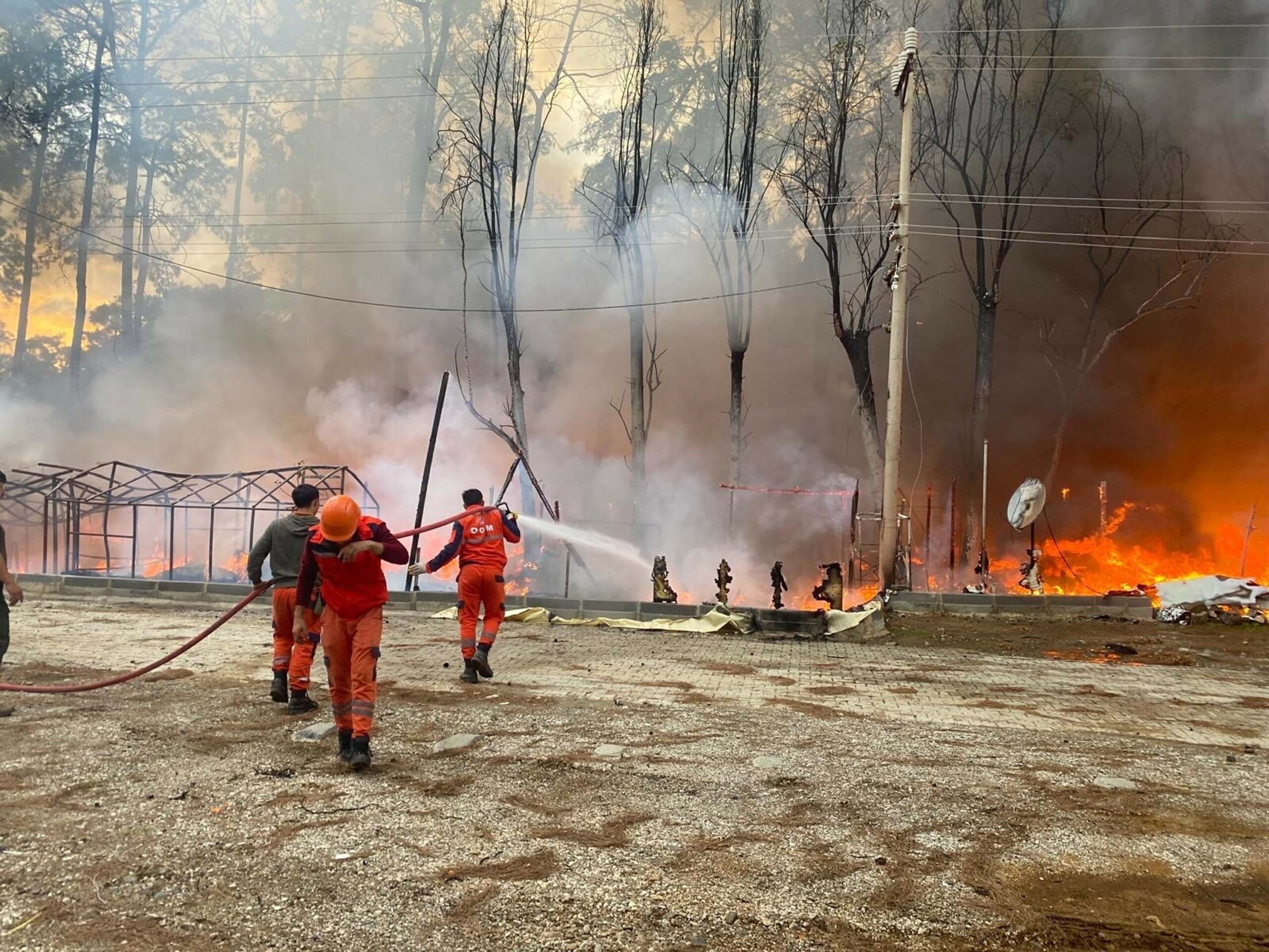 3 DEKAR ÇAM ORMANI İLE TOPLAM 60 ÇADIR VE KARAVAN
