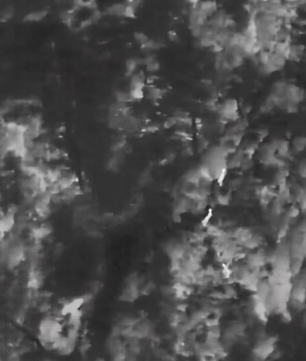 Muğla Doğa Koruma ve Milli Parklar (DKMP) ekipleri ile jandarma,