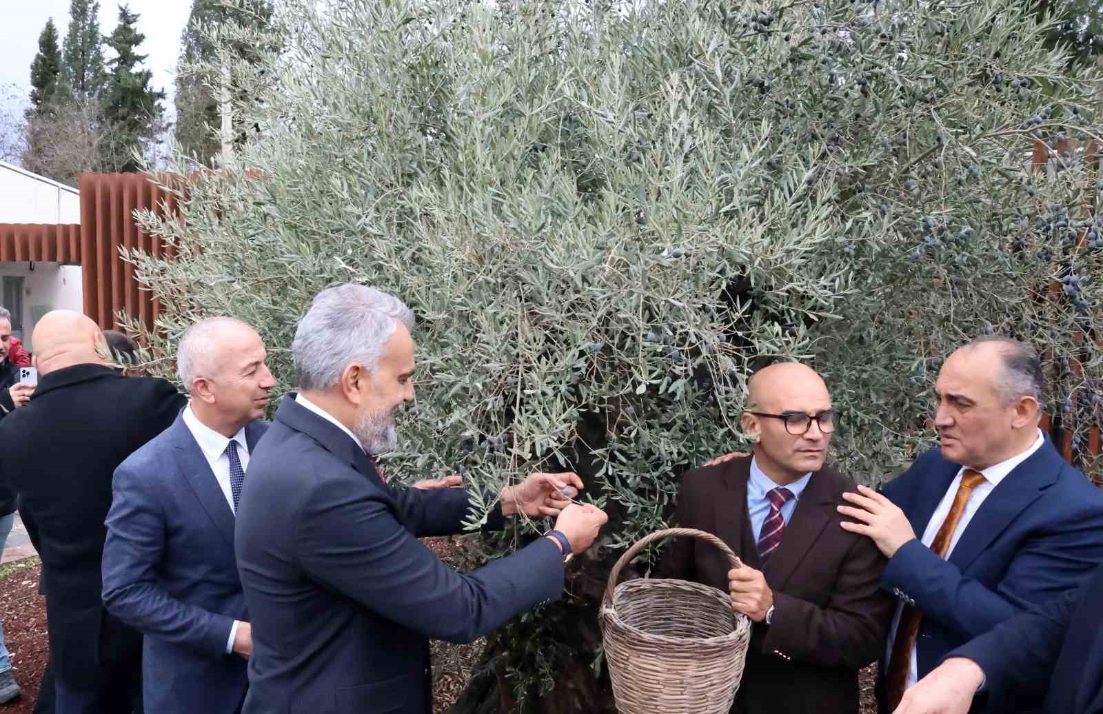 Muğla’nın Yatağan ilçesinde bulunan Stratonikeia Antik Kenti, bu yıl ilk